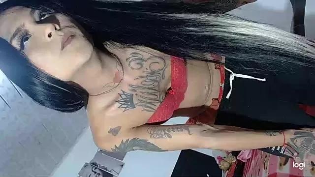 evelyn_kitty1 from StripChat is Freechat
