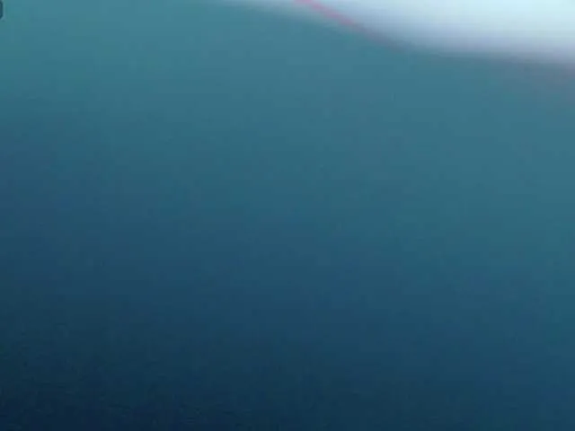 AvaWhitecastle's avatar