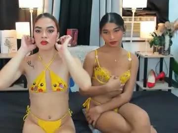 Try our girls live displays and explore the company of endless strippers, with beautiful physiques, vibrating toys and more.