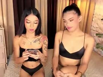 Try our girls live displays and explore the company of endless strippers, with beautiful physiques, vibrating toys and more.