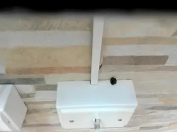 exotic_trans's avatar