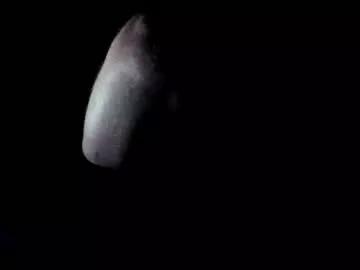 forestnymphpdx from Chaturbate is Freechat