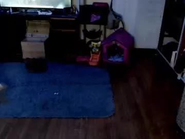 Givenom webcams show profile image 