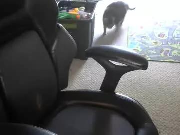 hothornymale819 from Chaturbate is Freechat
