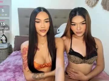 Try our girls live displays and explore the company of endless strippers, with beautiful physiques, vibrating toys and more.