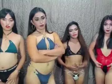 Try our girls live displays and explore the company of endless strippers, with beautiful physiques, vibrating toys and more.