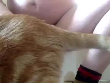 matureman1234 from Chaturbate is Freechat