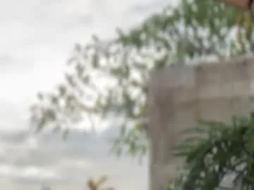 mayaandalex123 — Join US !!