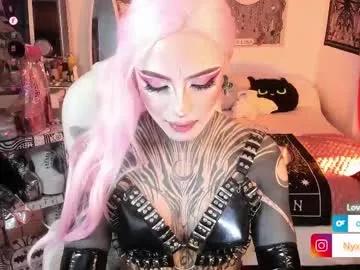 Try our girls live displays and explore the company of endless strippers, with beautiful physiques, vibrating toys and more.
