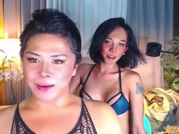 Try our girls live displays and explore the company of endless strippers, with beautiful physiques, vibrating toys and more.