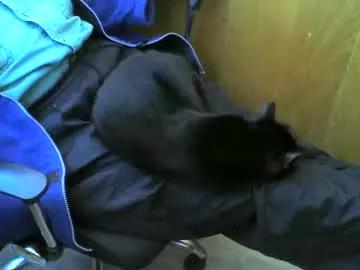 muller520 from Chaturbate is Freechat