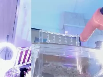 Avatar of ninacapelli