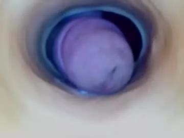 paulainoscente from Chaturbate is Freechat