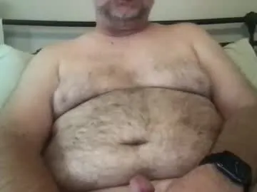 rattoy19 — Goal: move camera down and stroke cock #dadbod #hairy #edging #precum #cumshot - Next Goal: Cumshot