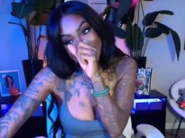 Try our girls live displays and explore the company of endless strippers, with beautiful physiques, vibrating toys and more.