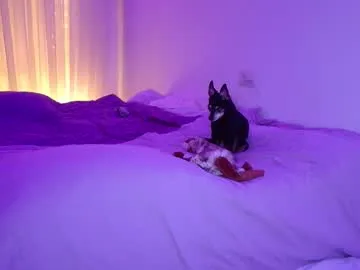 viktoriakiss — Viktoriakiss's room! time to talk, have a nice night!