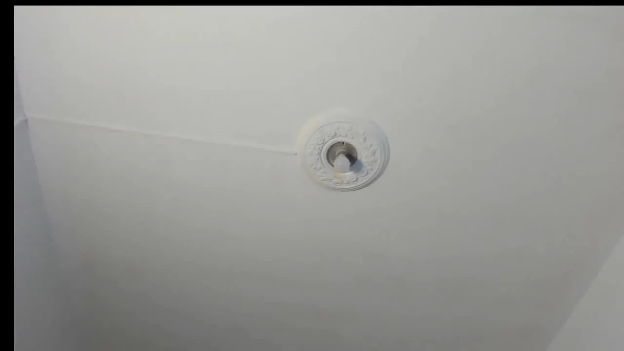 Stefany_Hernande's avatar