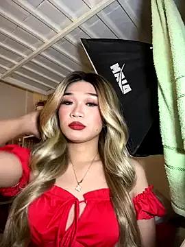 Try our girls live displays and explore the company of endless strippers, with beautiful physiques, vibrating toys and more.
