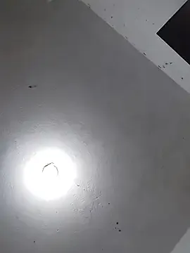 _Bella_Beth_'s avatar