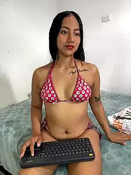 Try our girls live displays and explore the company of endless strippers, with beautiful physiques, vibrating toys and more.