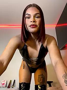 Try our girls live displays and explore the company of endless strippers, with beautiful physiques, vibrating toys and more.