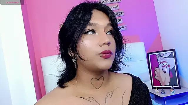 Try our girls live displays and explore the company of endless strippers, with beautiful physiques, vibrating toys and more.