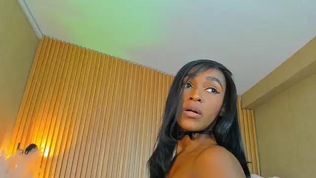 Try our girls live displays and explore the company of endless strippers, with beautiful physiques, vibrating toys and more.