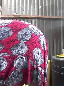 Try our girls live displays and explore the company of endless strippers, with beautiful physiques, vibrating toys and more.