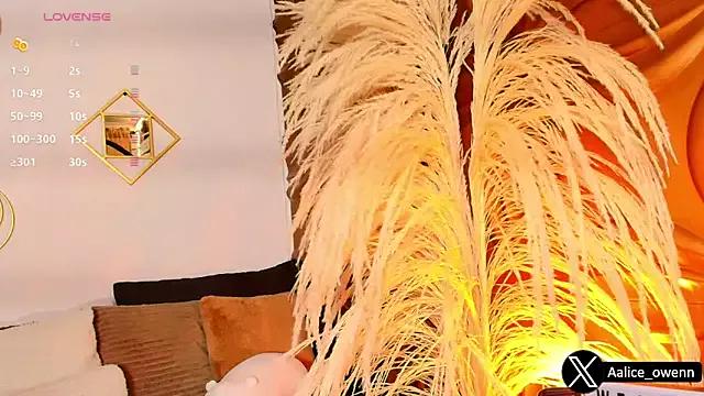 Try our girls live displays and explore the company of endless strippers, with beautiful physiques, vibrating toys and more.