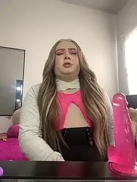 Try our girls live displays and explore the company of endless strippers, with beautiful physiques, vibrating toys and more.