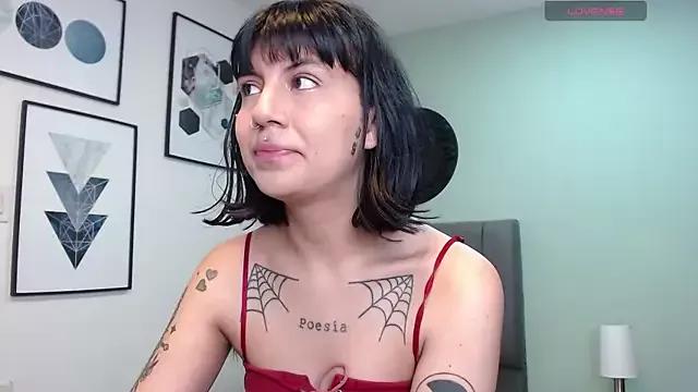 Try our girls live displays and explore the company of endless strippers, with beautiful physiques, vibrating toys and more.