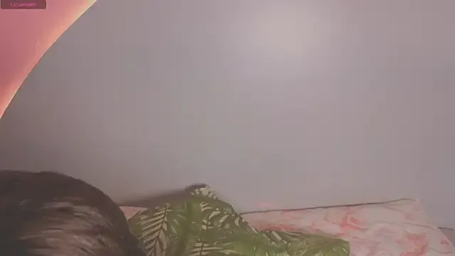 amyvans_ — Freechat on StripChat