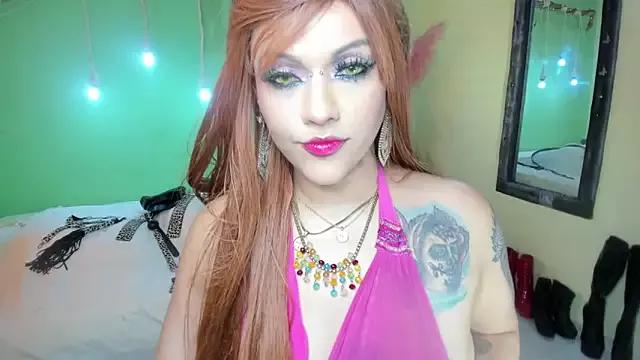 Try our girls live displays and explore the company of endless strippers, with beautiful physiques, vibrating toys and more.