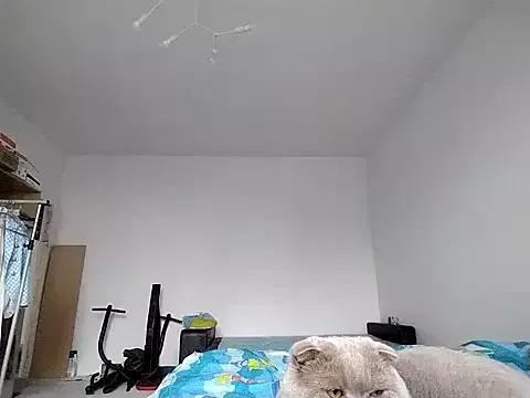 Try our girls live displays and explore the company of endless strippers, with beautiful physiques, vibrating toys and more.