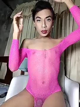 Try our girls live displays and explore the company of endless strippers, with beautiful physiques, vibrating toys and more.