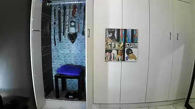 Try our girls live displays and explore the company of endless strippers, with beautiful physiques, vibrating toys and more.