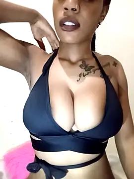 Try our girls live displays and explore the company of endless strippers, with beautiful physiques, vibrating toys and more.