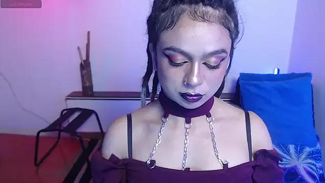Try our girls live displays and explore the company of endless strippers, with beautiful physiques, vibrating toys and more.