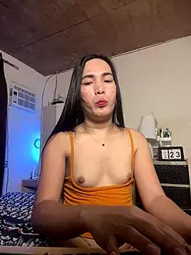 Try our girls live displays and explore the company of endless strippers, with beautiful physiques, vibrating toys and more.