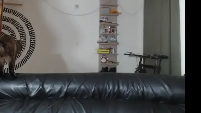 BeautyYoungblond's avatar