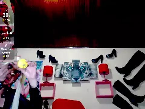 Try our girls live displays and explore the company of endless strippers, with beautiful physiques, vibrating toys and more.