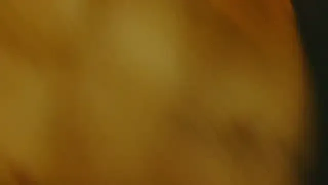 Camicam_04 — montada