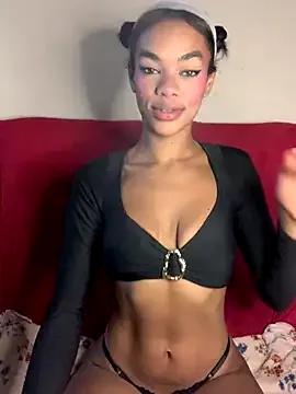 Try our girls live displays and explore the company of endless strippers, with beautiful physiques, vibrating toys and more.