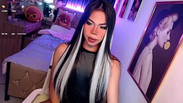 Try our girls live displays and explore the company of endless strippers, with beautiful physiques, vibrating toys and more.