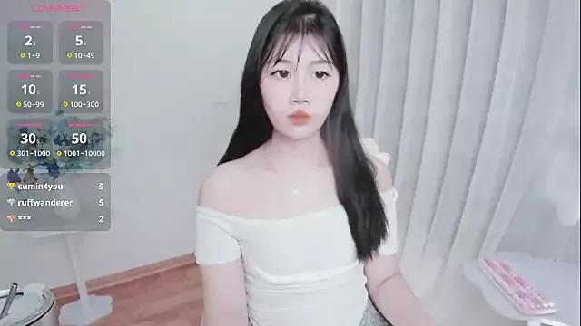 Try our girls live displays and explore the company of endless strippers, with beautiful physiques, vibrating toys and more.