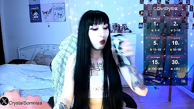 Try our girls live displays and explore the company of endless strippers, with beautiful physiques, vibrating toys and more.
