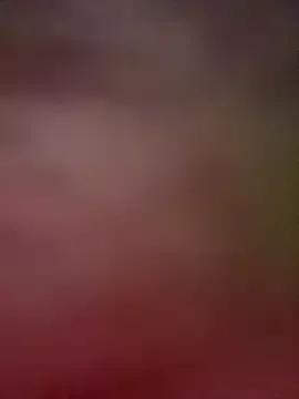 Desire-XOXOX from StripChat is Freechat