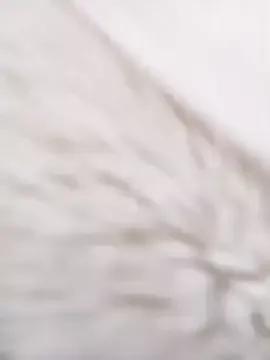 Dick_Suckeer from StripChat is Freechat