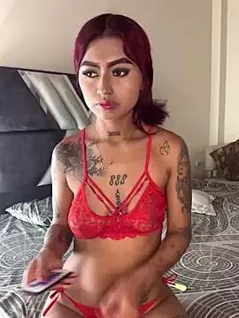 Try our girls live displays and explore the company of endless strippers, with beautiful physiques, vibrating toys and more.