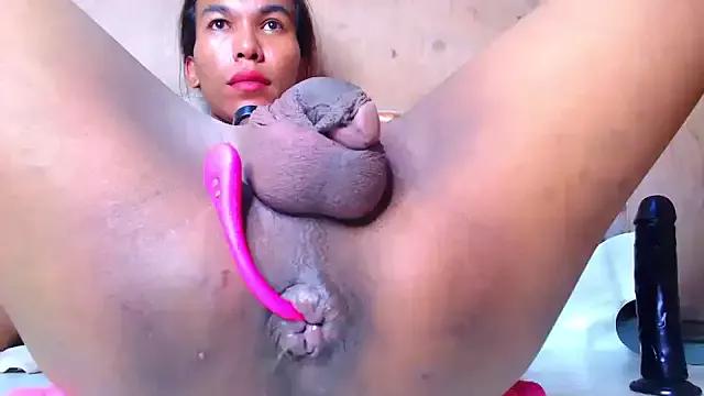 Try our girls live displays and explore the company of endless strippers, with beautiful physiques, vibrating toys and more.